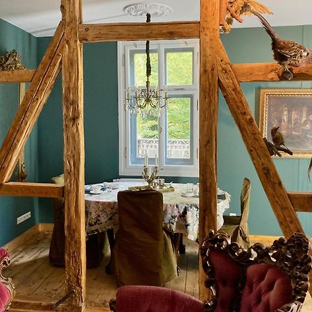 Jagdschloss Hummelshain B&B エクステリア 写真